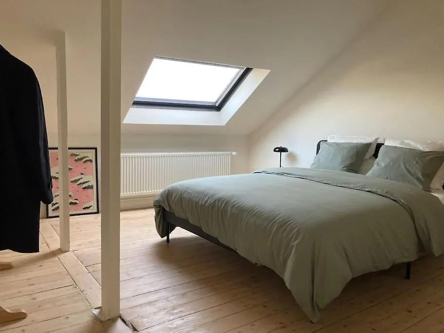 Gezellig Gerenoveerd Herenhuis In Het Centrum Antwerpen Belgium