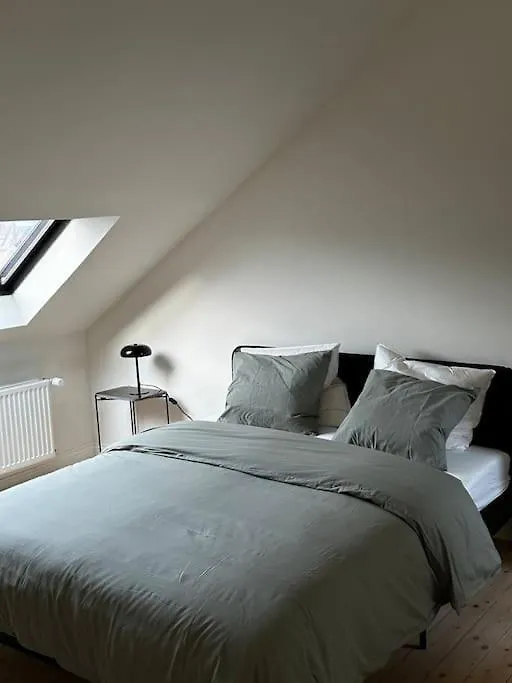 Gezellig Gerenoveerd Herenhuis In Het Centrum Antwerpen